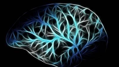 JON: Человеческий мозг искажает информацию для лучшего запоминания