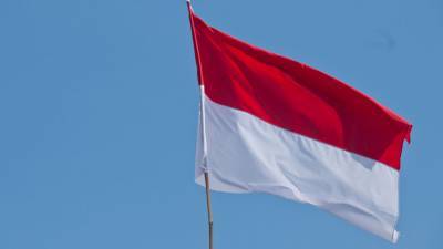 Более 20 человек погибли в аварии автобуса в Индонезии