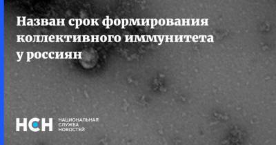 Назван срок формирования коллективного иммунитета у россиян