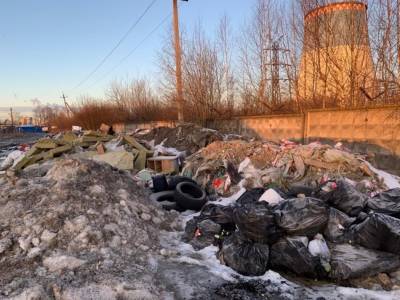 На растущую стихийную свалку жалуются жители Невского района