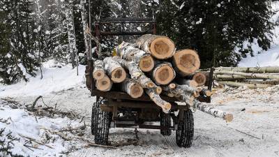 Под Иркутском выявили контрабанду леса на сумму свыше 1 млрд рублей