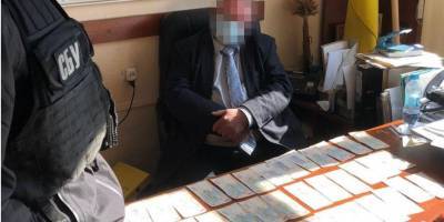 СБУ задержала на взятке чиновника НАН Украины