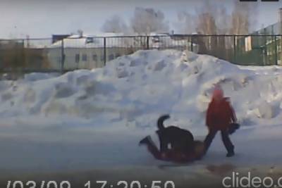 Следователи начали проверку после нападения бродячей собаки на ребёнка в Новосибирске