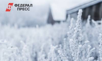 Жители деревни под Омском оказались в снежном плену