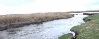 В Омской области на расчистку Мангутского канала потратят 4,8 млн рублей