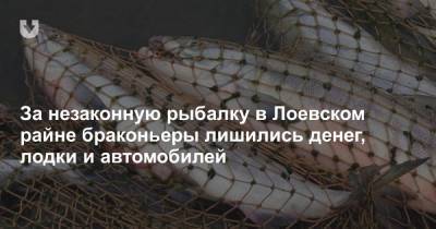 За незаконную рыбалку в Лоевском райне браконьеры лишились денег, лодки и автомобилей