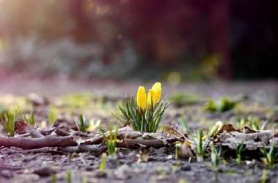 11 березня в Україні буде до -14 градусів, але сухо