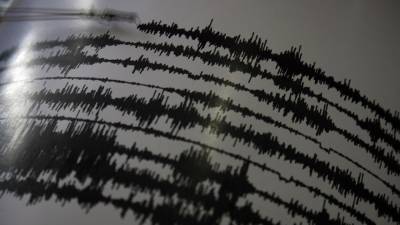 Сейсмологи США зафиксировали мощное землетрясение у берегов Королевства Тонга