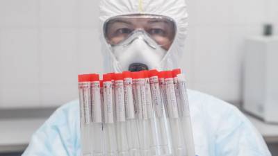 В России провели более 114 млн тестов на коронавирус