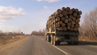 Прокуратура завела дело после контрабанды леса под Иркутском на сумму более 1 млрд рублей