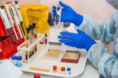 Количество заболевших коронавирусом в Тамбовской области снижается