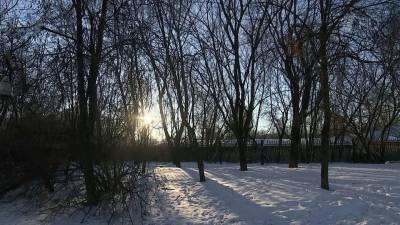 Аномальные морозы в Центральной России сменятся заметным потеплением