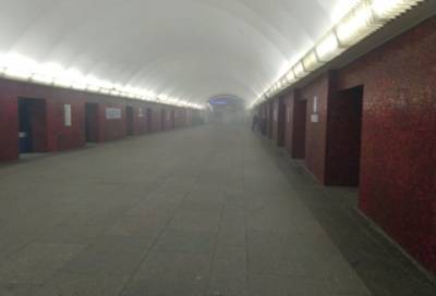Очевидцы заметили задымление на станции метро «Маяковская» в Петербурге