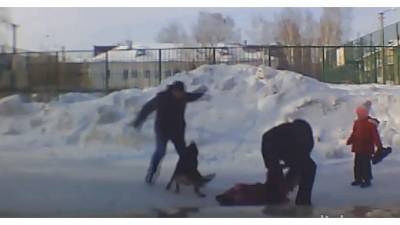 Собака набросилась и начала рвать ребенка в Новосибирске