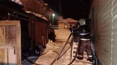 В пожаре на частной конюшне в Первоуральске погибли семь лошадей