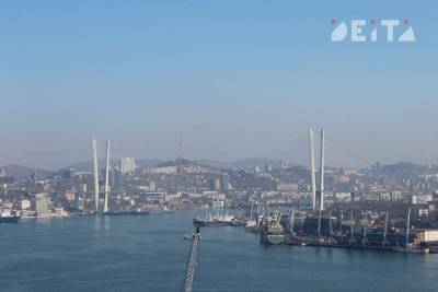 Арест, банкротство и заграница: печальная судьба первых резидентов Свободного порта Владивосток