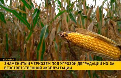 Украина на грани сельхоз-кризиса: наиболее плодородные почвы под угрозой деградации из-за безответственной эксплуатации