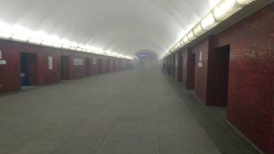 Зеленая ветка петербургского метро встала из-за задымления на станции