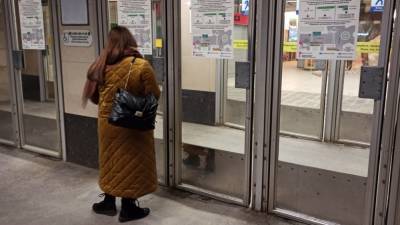 Движение поездов на некоторых станциях метро Петербурга приостановлено из-за задымления