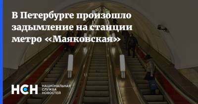 В Петербурге произошло задымление на станции метро «Маяковская»