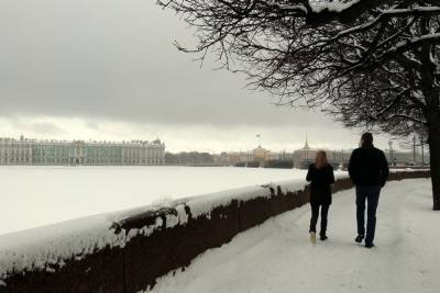 В Петербурге чиновник присвоил 9,5 млн рублей, выделенных на уборку снега