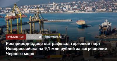 Росприроднадзор оштрафовал торговый порт Новороссийска на 9,1 млн рублей за загрязнение Черного моря