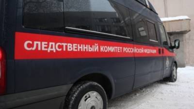 СК организовал проверку после нападения собаки на ребенка в Новосибирске
