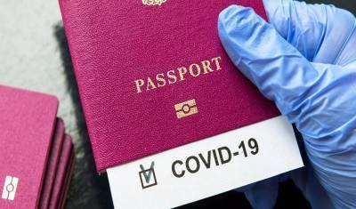 Введение ковид-паспортов может привести к дискриминации и мошенничеству