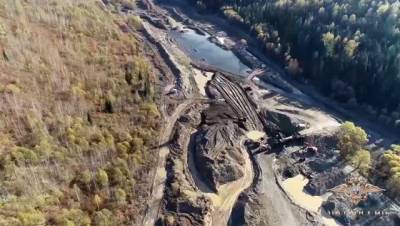 «Очищали экскаваторами»: в Кузбассе золотодобытчики вырубили огромный участок тайги