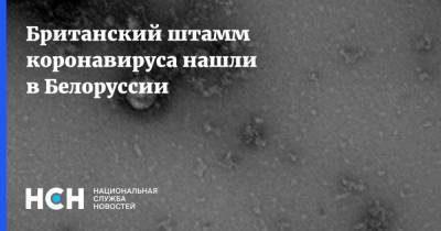 Британский штамм коронавируса нашли в Белоруссии