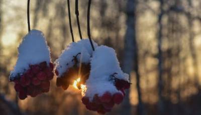 В Украине прогнозируют до 15° мороза