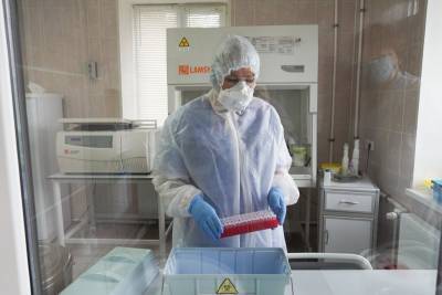 Воронежцам напомнили, что уже год как мир живёт в режиме пандемии коронавируса