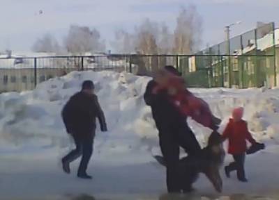 Уже лежала на земле: в Новосибирске водитель отбил первоклашку у агрессивного бродячего пса