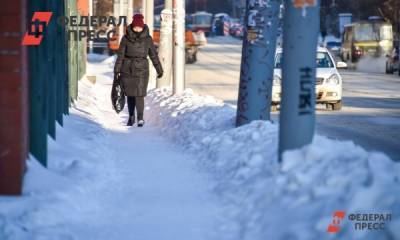 Неубранный снег на улицах Петербурга привел к обыскам