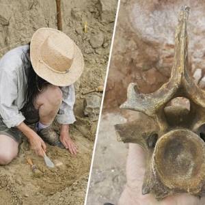 В Одесской области нашли останки доисторического носорога. Фото