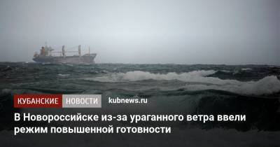 В Новороссийске из-за ураганного ветра ввели режим повышенной готовности