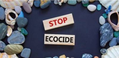 Экоцид могут признать международным преступлением против мира