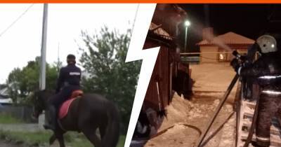 Из-за страшного пожара полиция Первоуральска осталась без лошадей