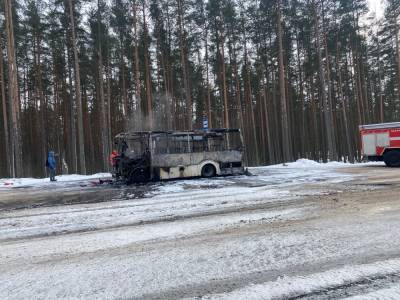 На остановке в поселке Приветнинское сгорел автобус — фото