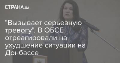 "Вызывает серьезную тревогу". В ОБСЕ отреагировали на ухудшение ситуации на Донбассе