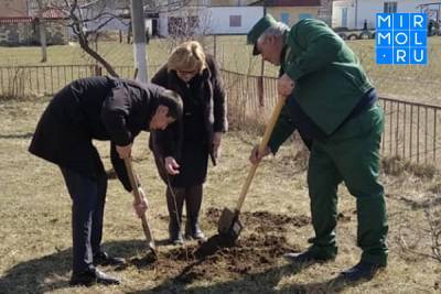 Кайтагский район принял участие в акции «Сад памяти»