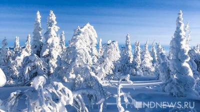 Ночью и утром 12 марта в Свердловской области ожидаются морозы до -37 градусов