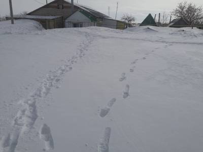В Челябинской области выпало до 300% нормы снега. Как регион готовится к половодью и кто в зоне риска