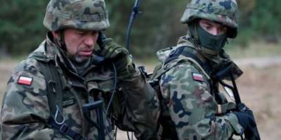 На Донбасс возвращаются воевавшие в «АТО» польские и литовские каратели