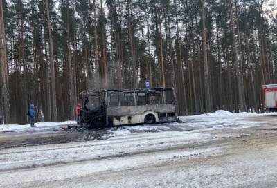 На остановке под Выборгом дотла сгорел пассажирский микроавтобус