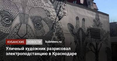 Уличный художник разрисовал граффити электроподстанцию в Краснодаре