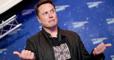 Владельцы Tesla не любят Илона Маска, — исследование