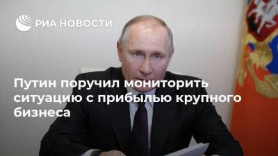 Путин поручил мониторить ситуацию с прибылью крупного бизнеса