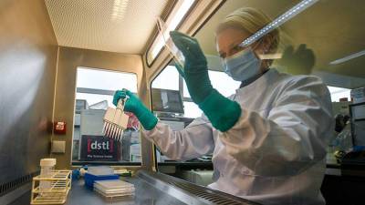 В Великобритании определили происхождение нового штамма коронавируса
