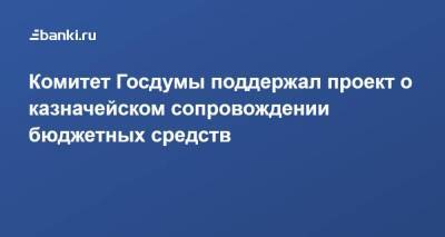 Комитет Госдумы поддержал проект о казначейском сопровождении бюджетных средств
